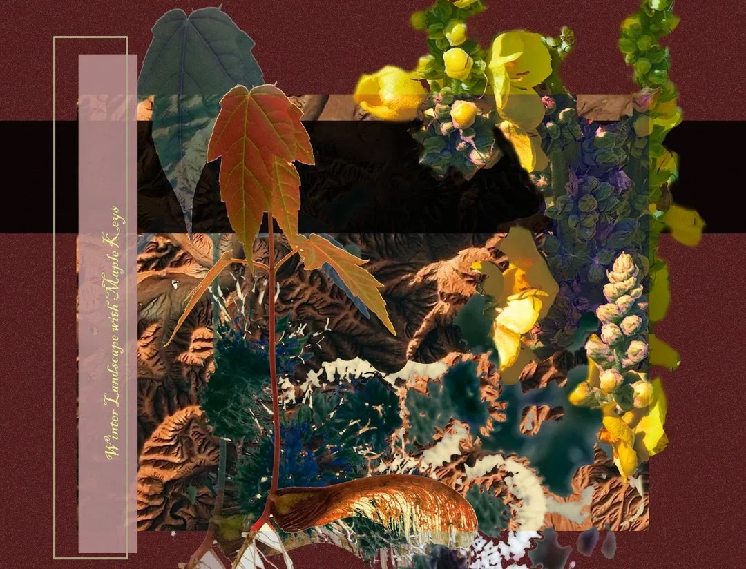 Winter Landscape with Maple Keys