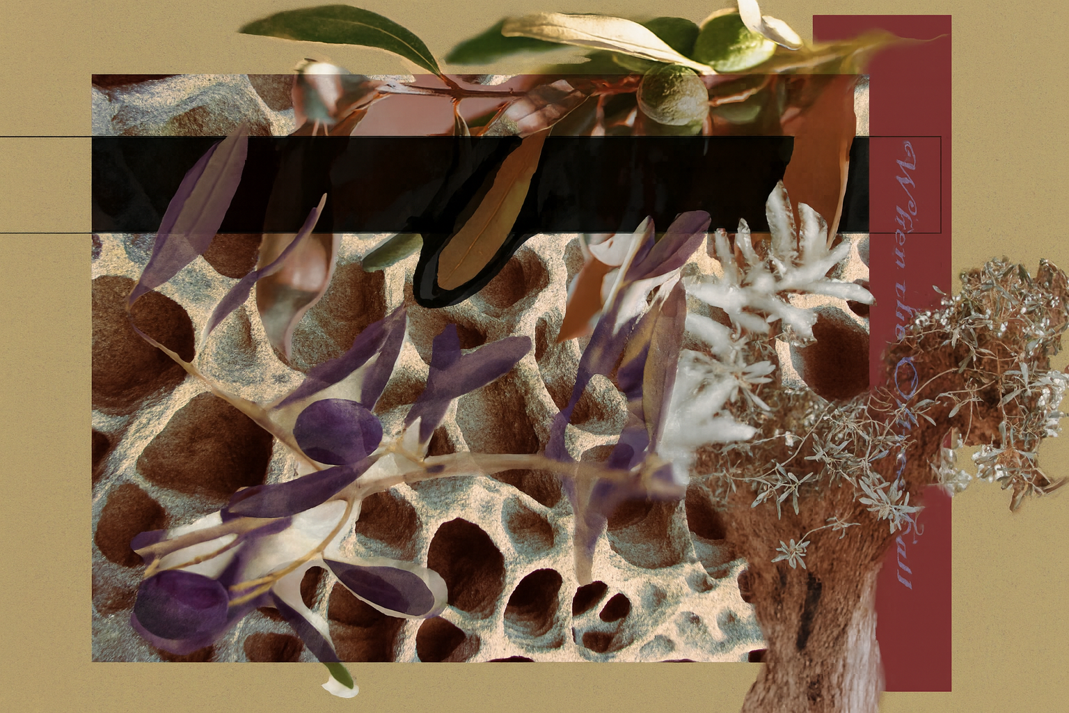 When the Olives Fall