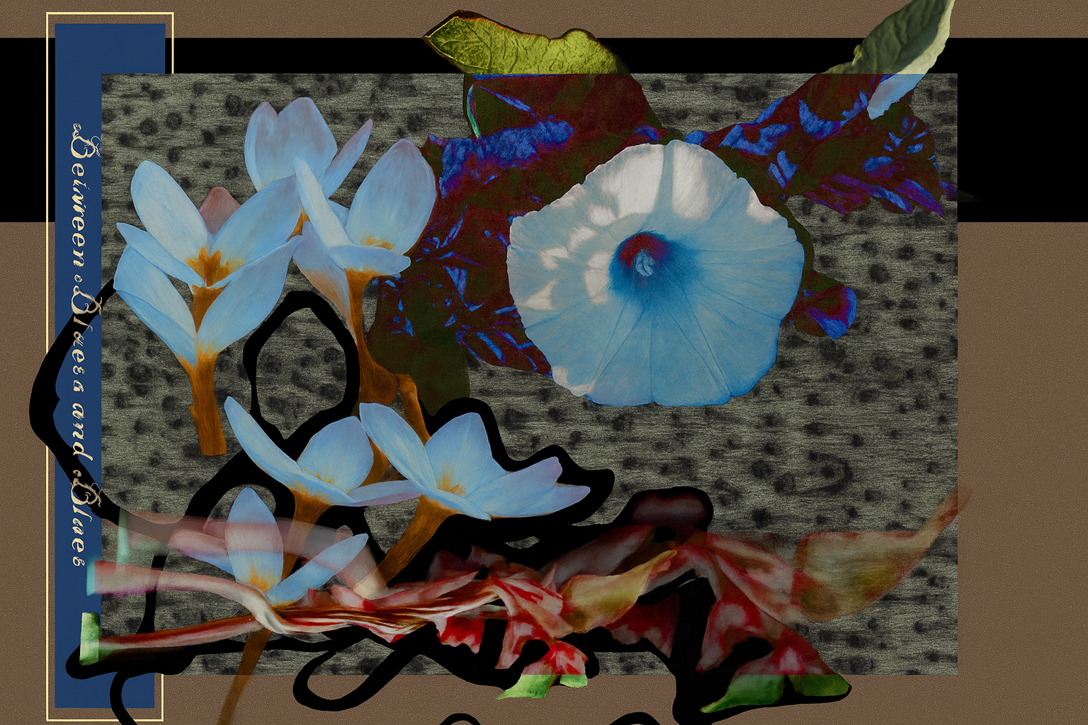 Between Bluets and Bindweed