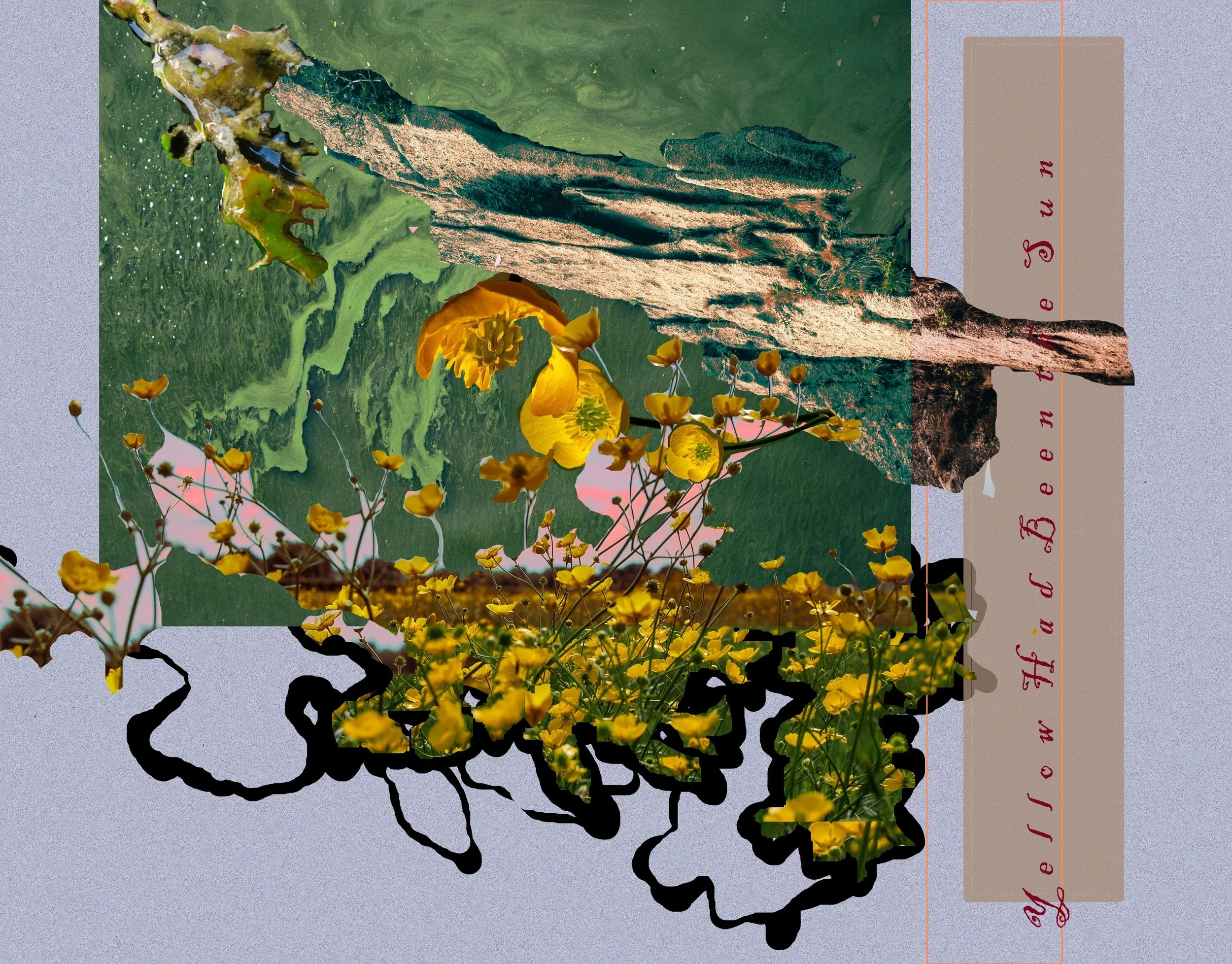 Yellow Had Been the Sun