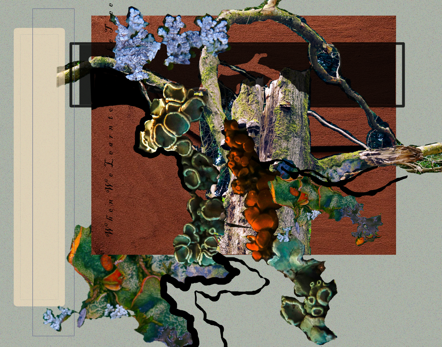 When We Learn to Die Like Trees