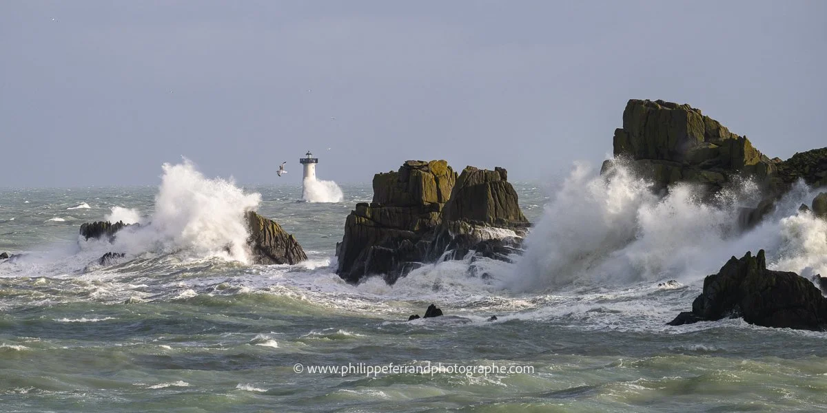 Belle Synchro des vagues 