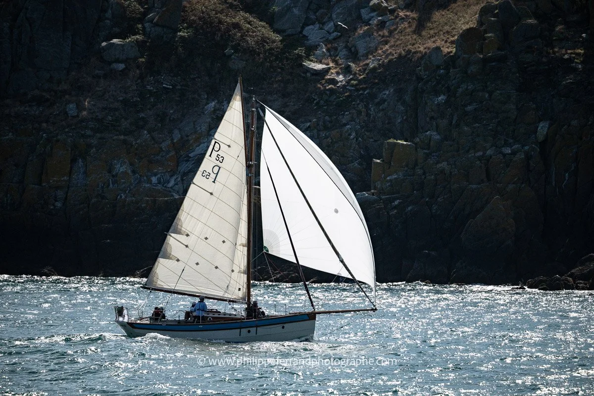 branlebas pdg-86.jpg