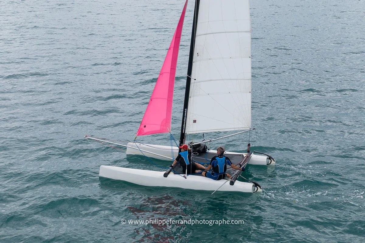 catamaran avec voile d'avant rose
