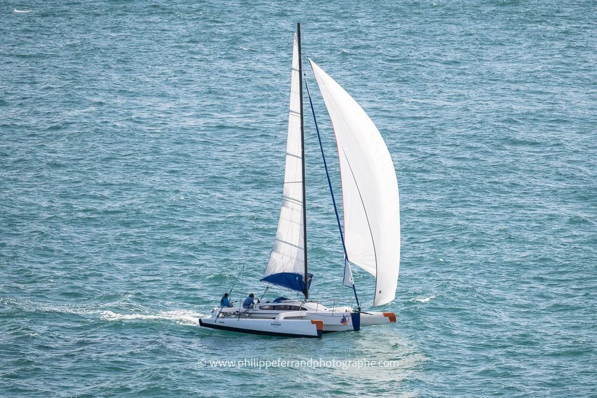 branlebas pdg-92.jpg