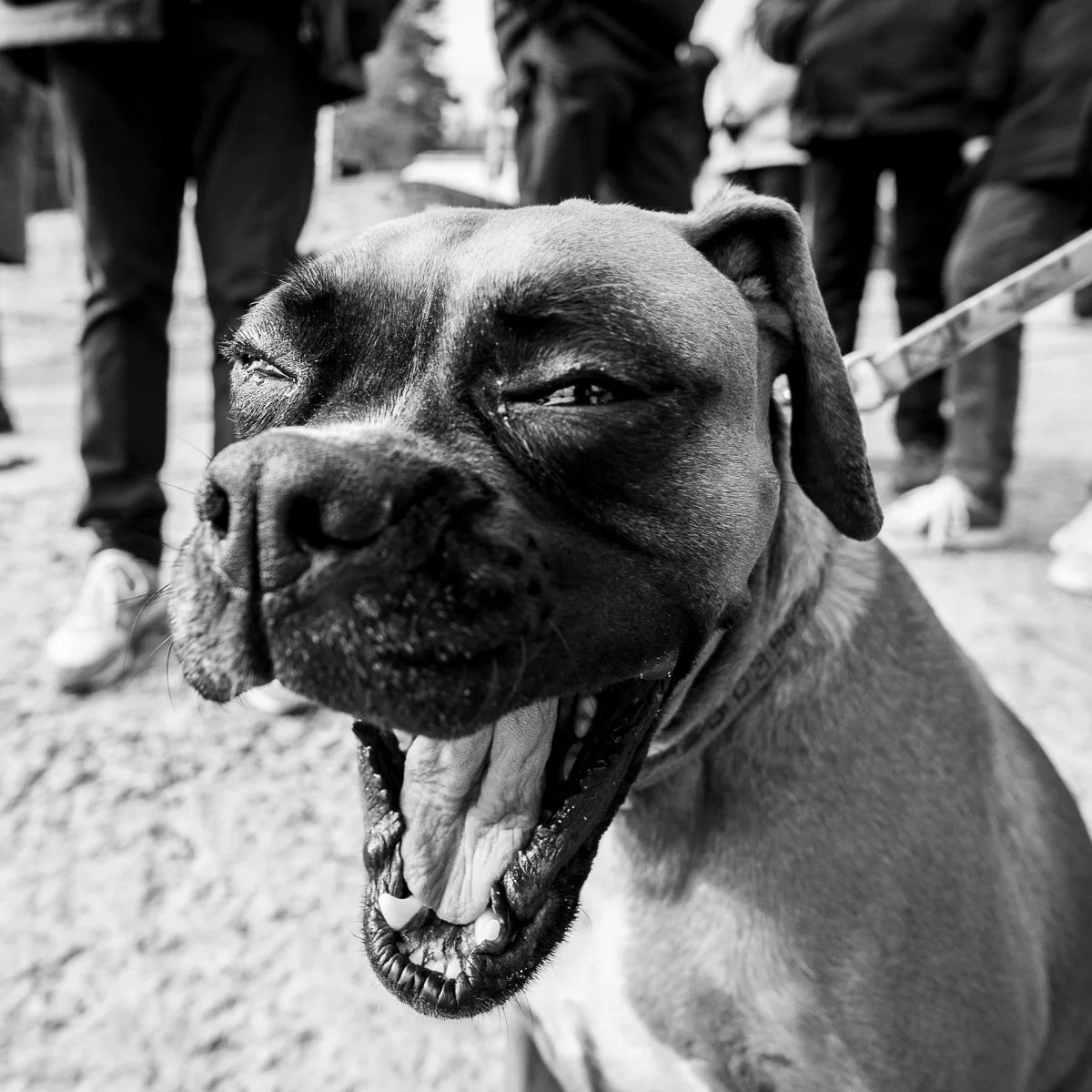 Matage série complète-26.jpg