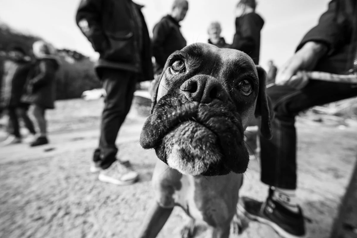 Matage série complète-27.jpg