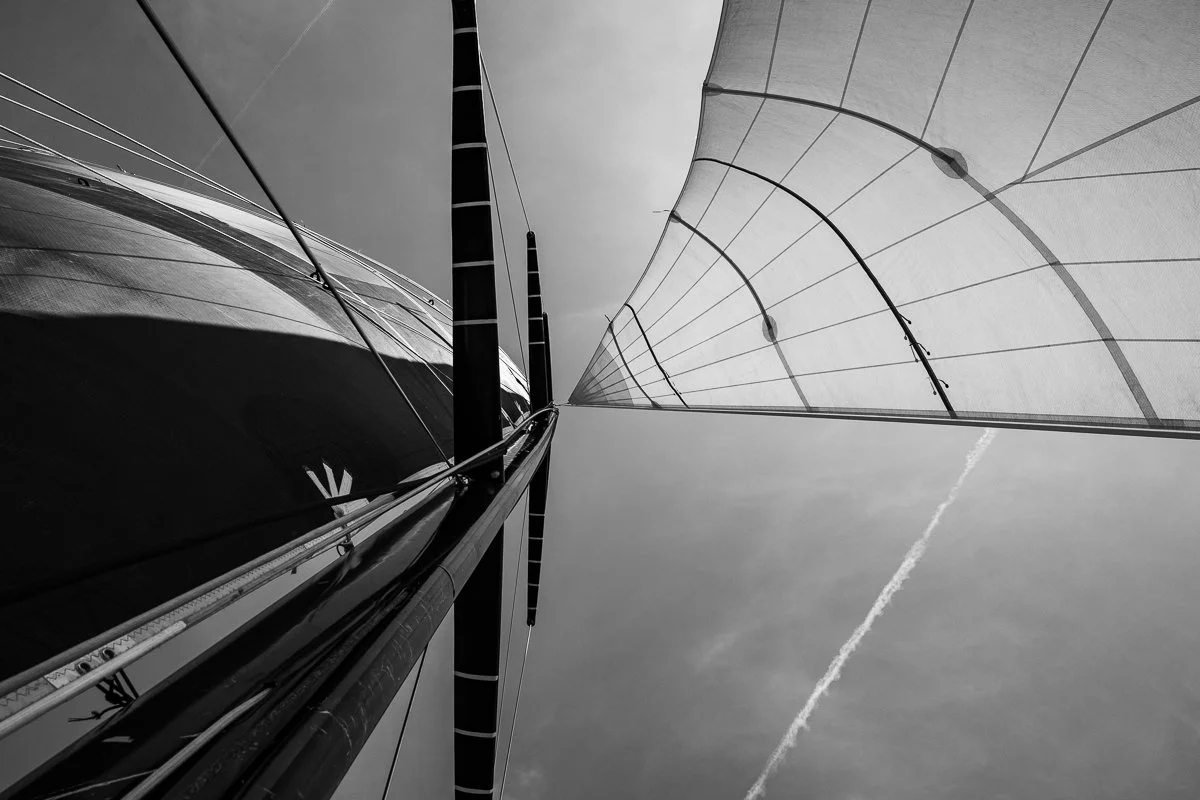 IVascular 3-8.jpg