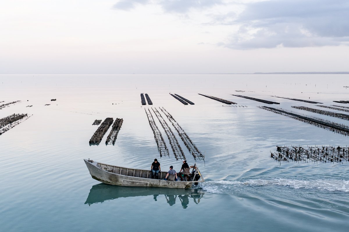308 - Les ostréiculteurs dans les parcs