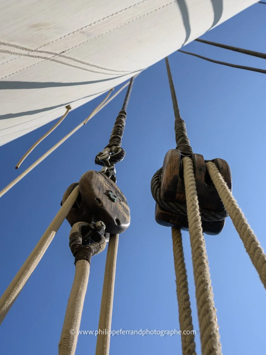 364 - hissez les voiles