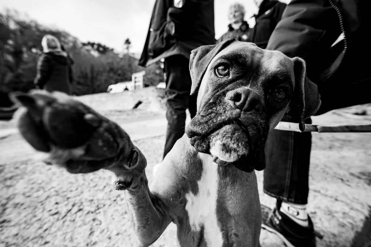 Matage série complète-25.jpg