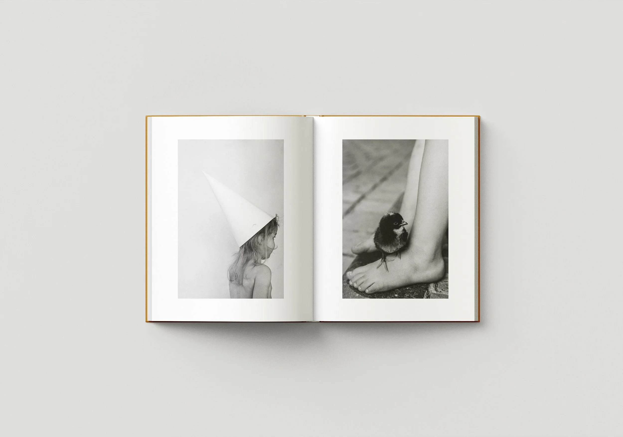 Book_Mockup_01.jpg