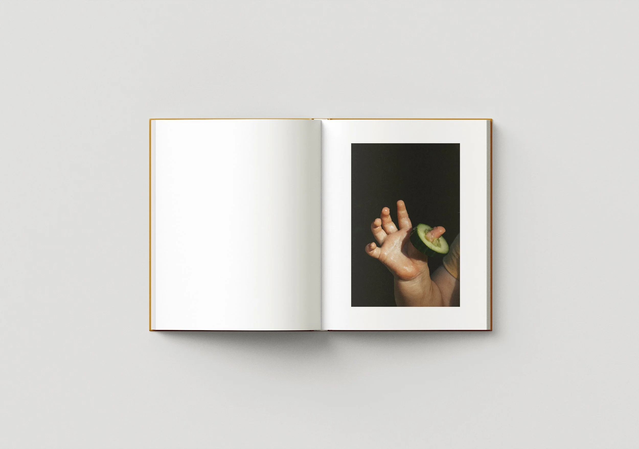 Book_Mockup_13.jpg