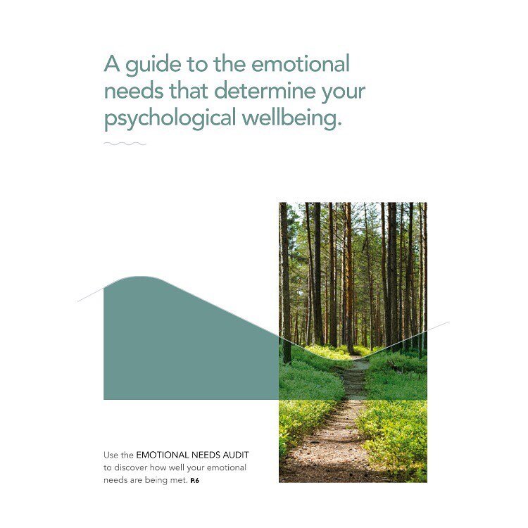 We are all aware that we have physical needs: air, water, shelter, food etc. But it may be less obvious that we have a set of fundamental emotional needs that if not met in a balanced way, will cause us to become stressed. Balancing our psychological