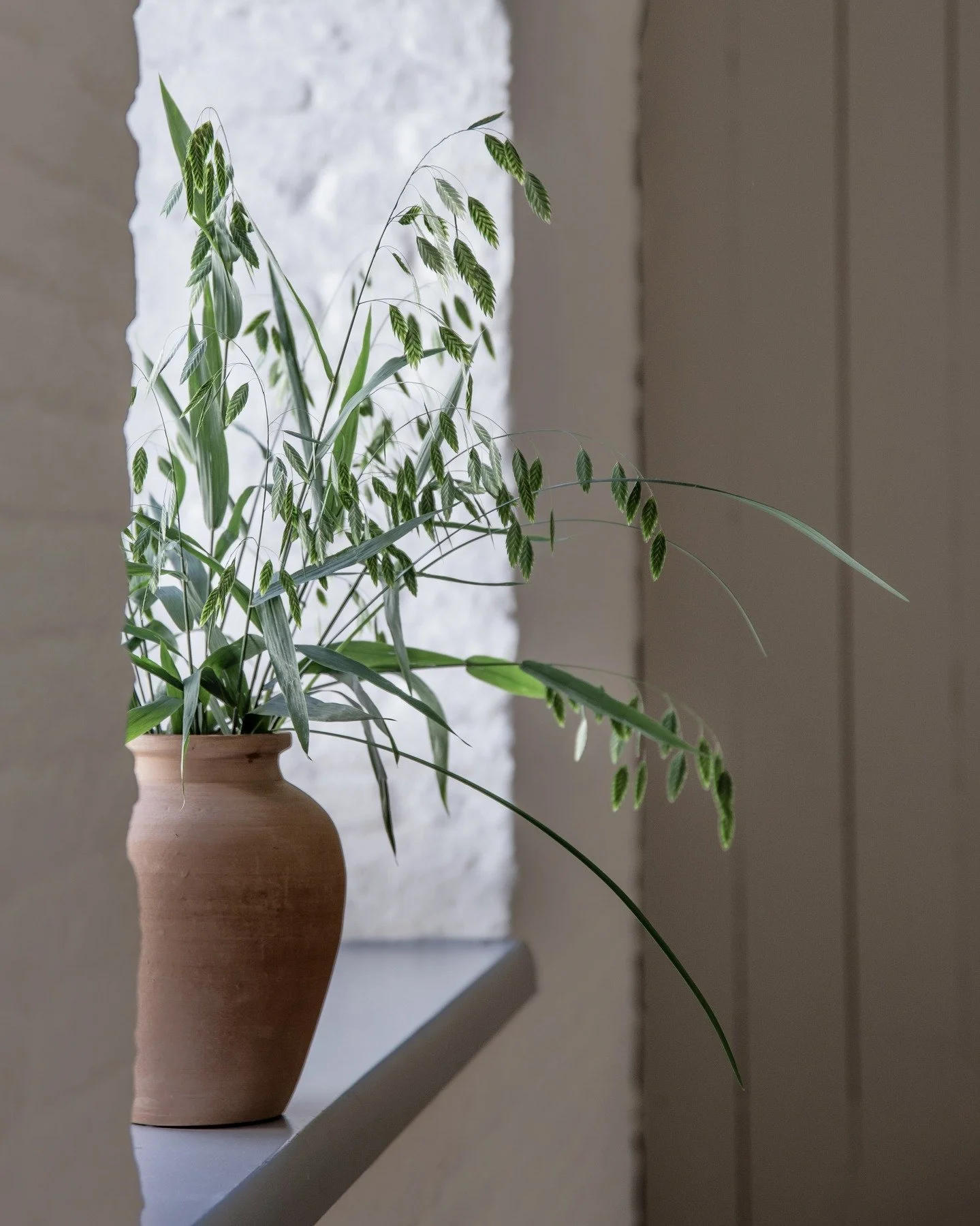 Green and Terracotta🌿
#slowhome #handmade #deco #terracottapots #instadecor #inspiration