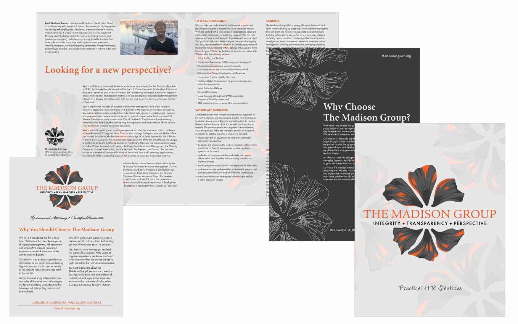 Marketing & Promotional Collateral: Brochure & Promo Flyer
