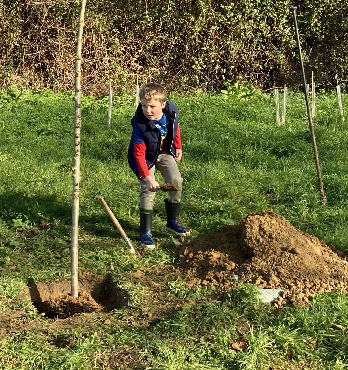 child planting tree.jpg