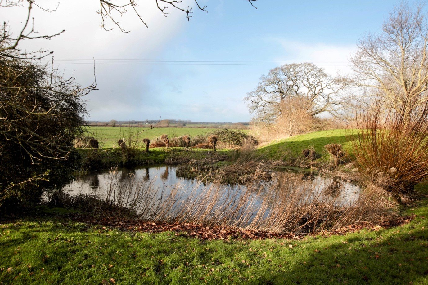 MANOR BARTON 3.jpg