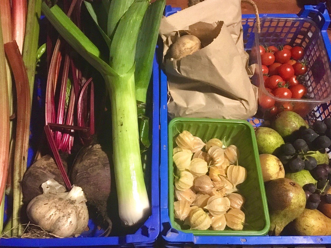 veg basket.jpg