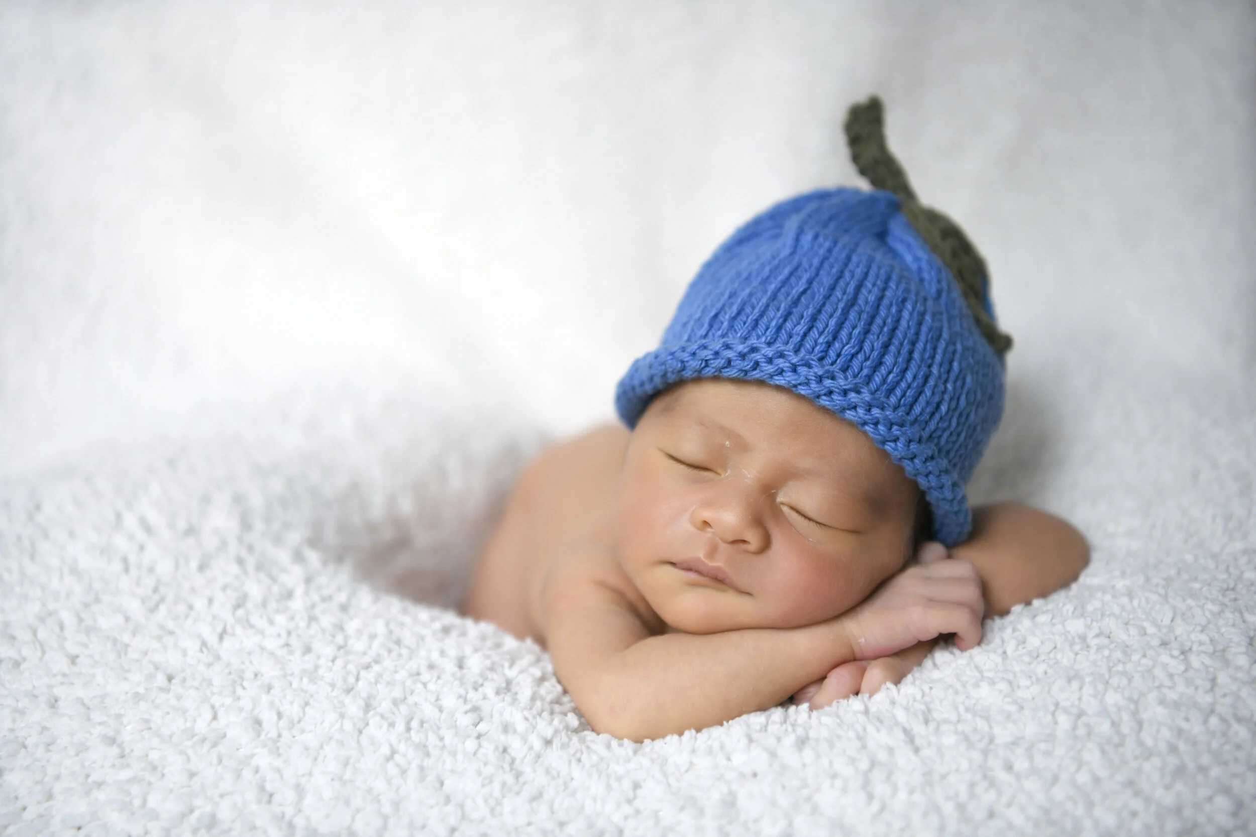 rosa-and-daniel-family-portraits-newborn-baby-125.jpg