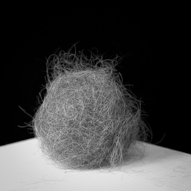 Decentering Bodies
