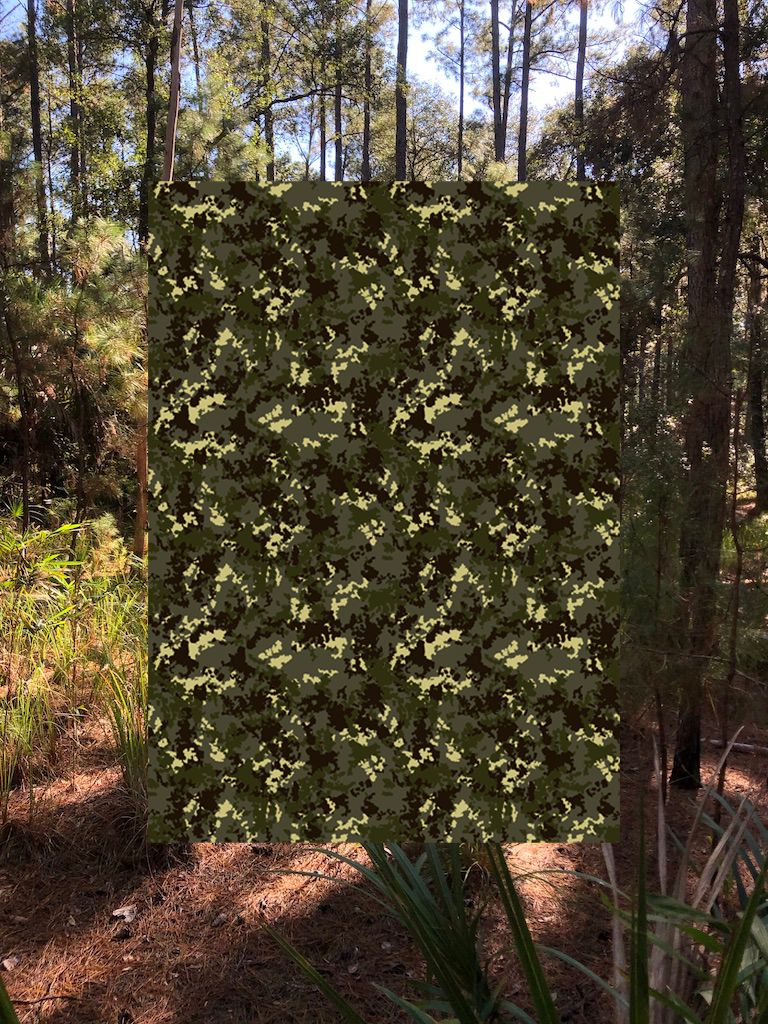 OVERGROWTHcamo_madisonkoester.png