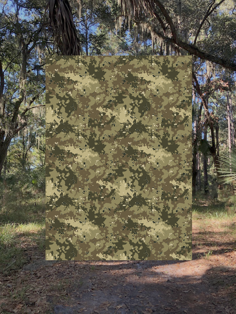 LOWCOUNTRY_madisonkoester.png