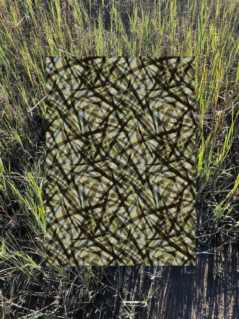 GRASSPIC.png