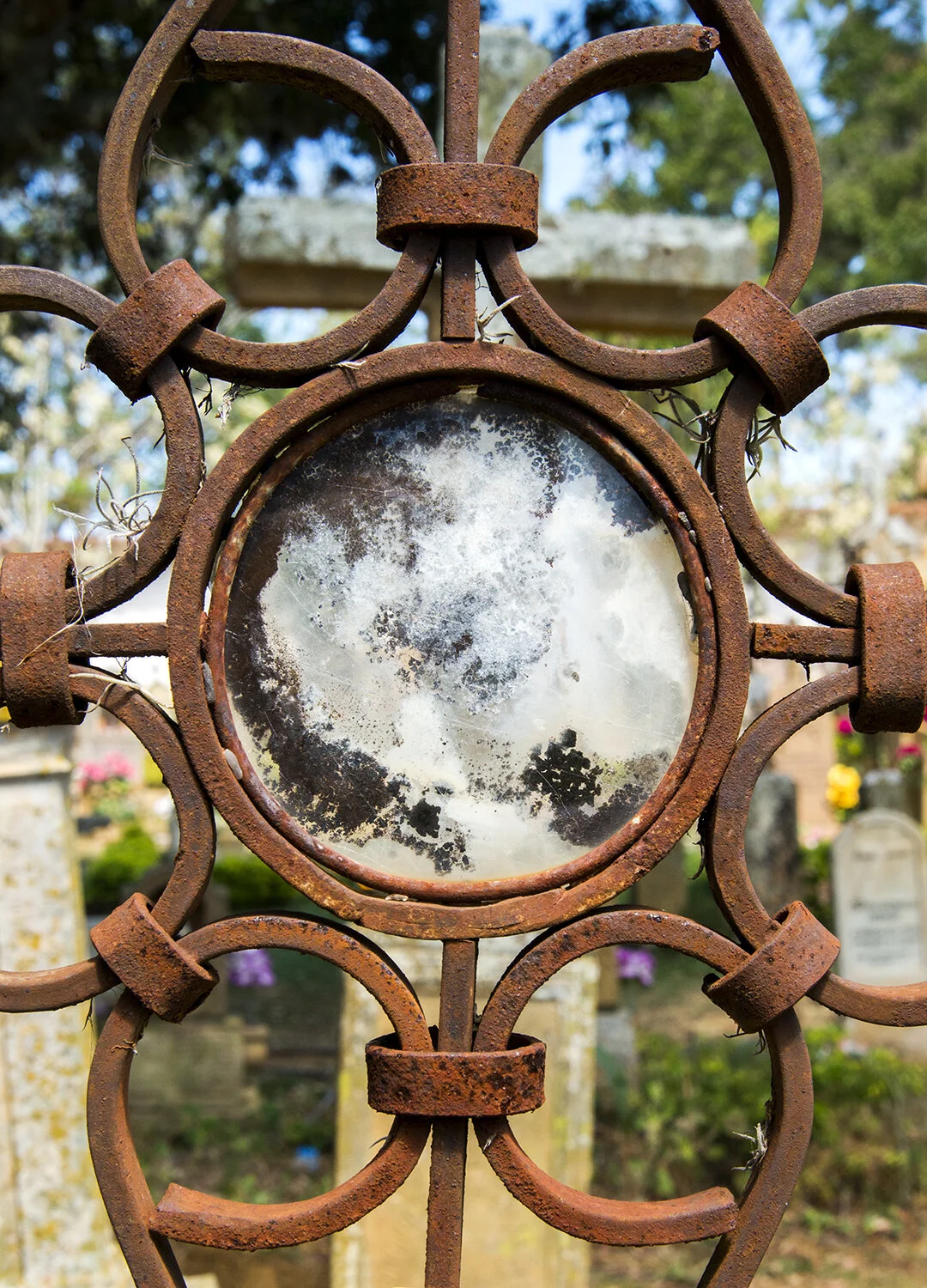 _DSC5444.jpg