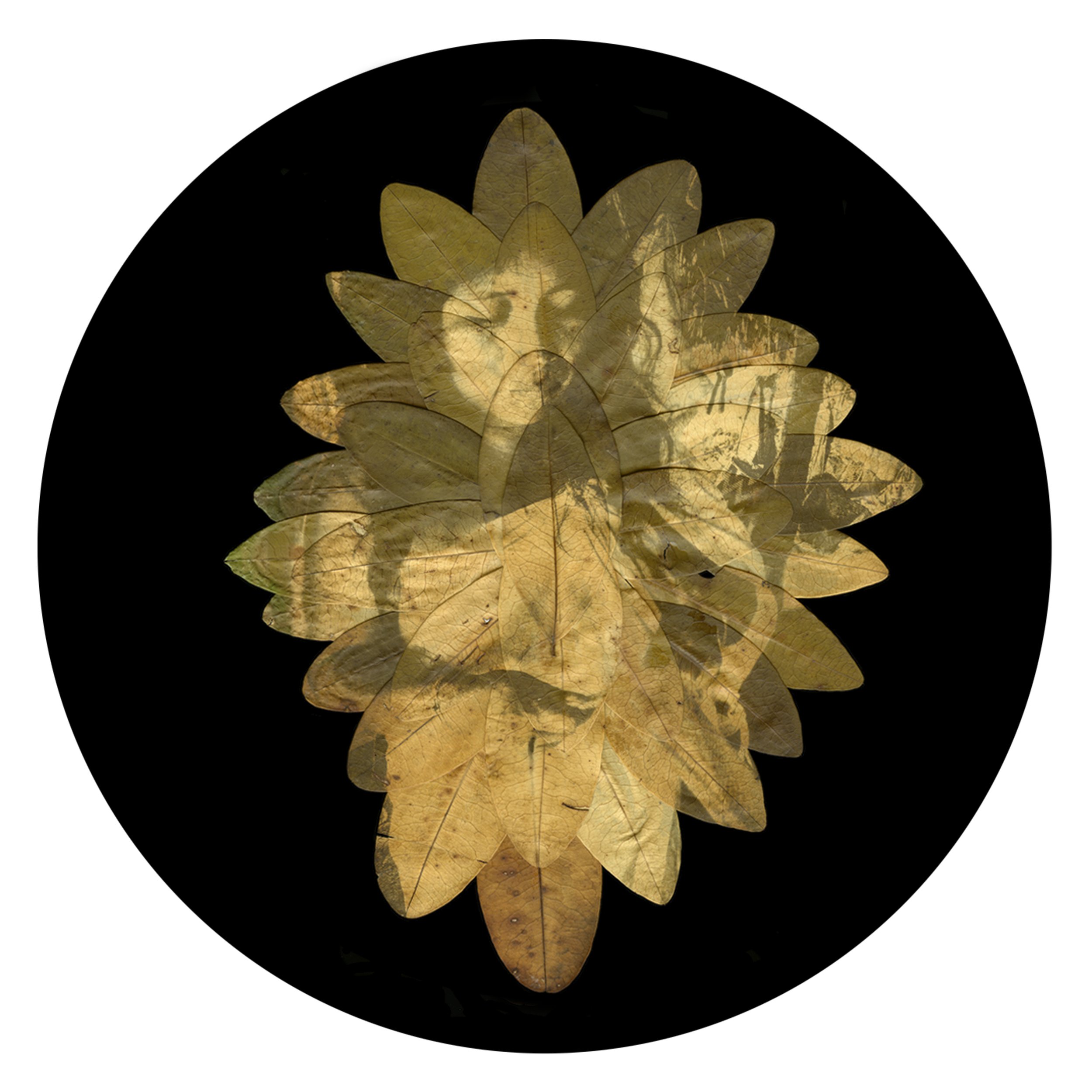 ALUNA Clorotipia No 9 Kogui  (45) .jpg