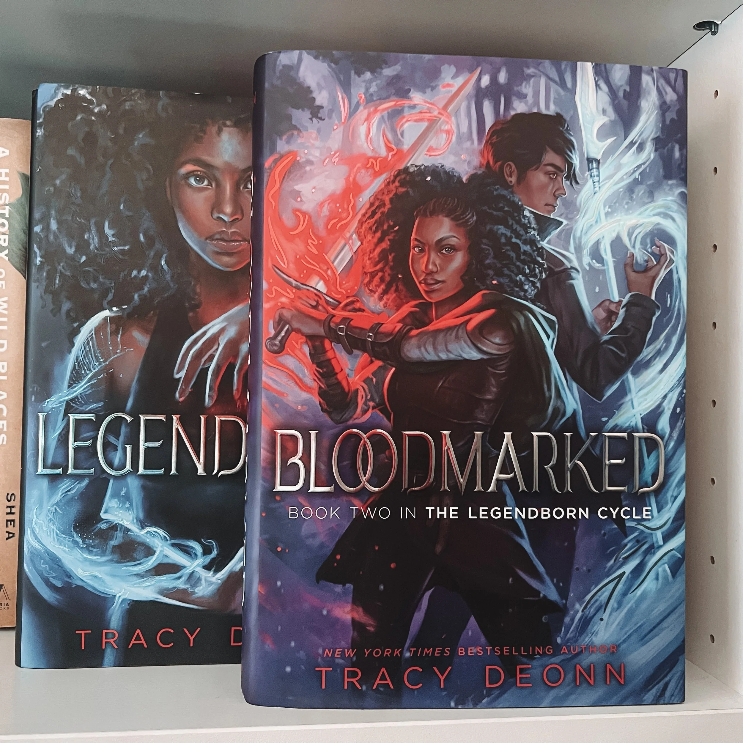 Legend Characters Book