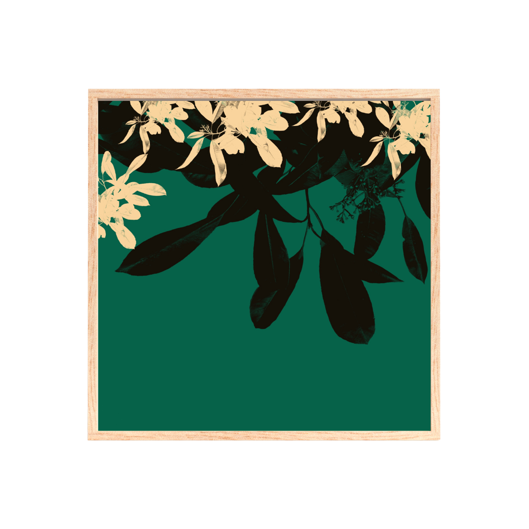 army flowers (Print)