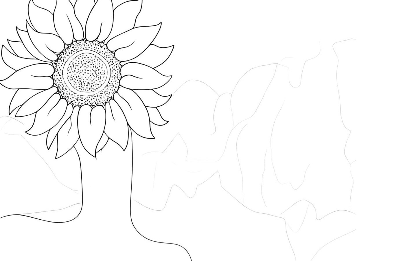 knowledge & wisdom (no BG).jpg