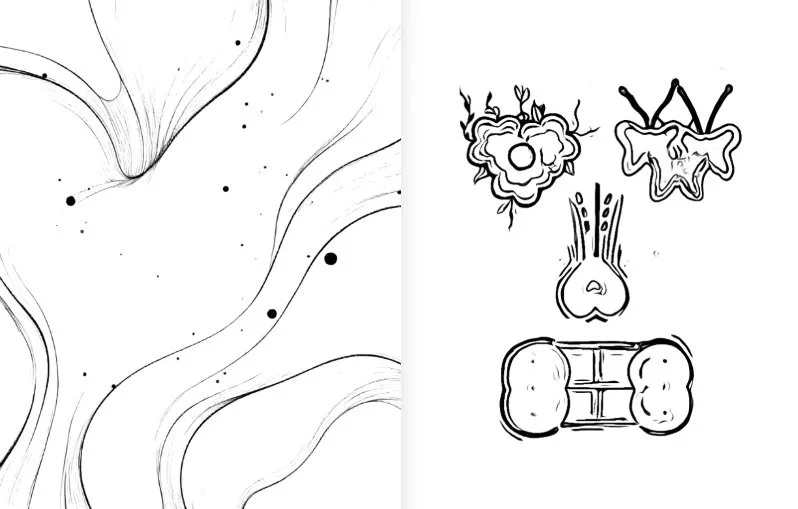 Screen Shot 2025-12-11 at 3.17.54 PM.jpeg