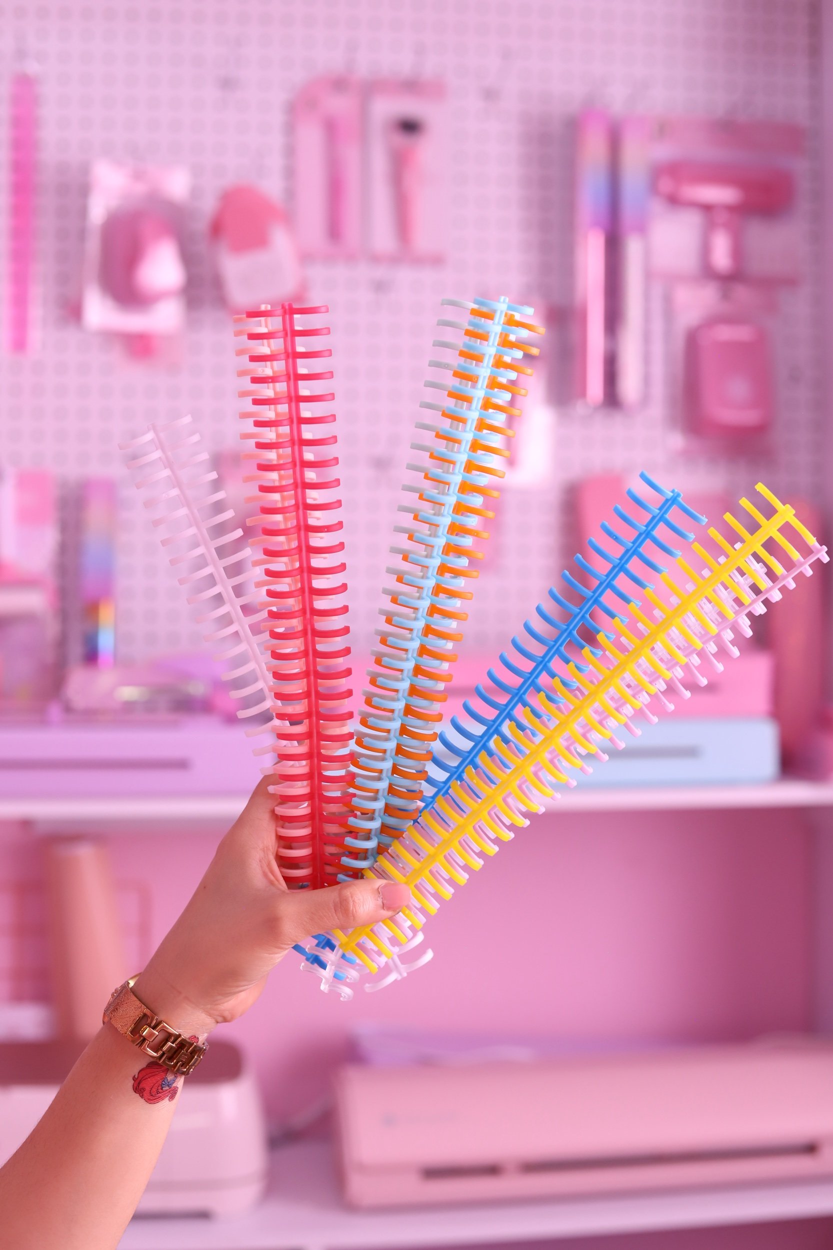 F298E311-4BB5-479B-8D27-F43906C0E14C.jpeg