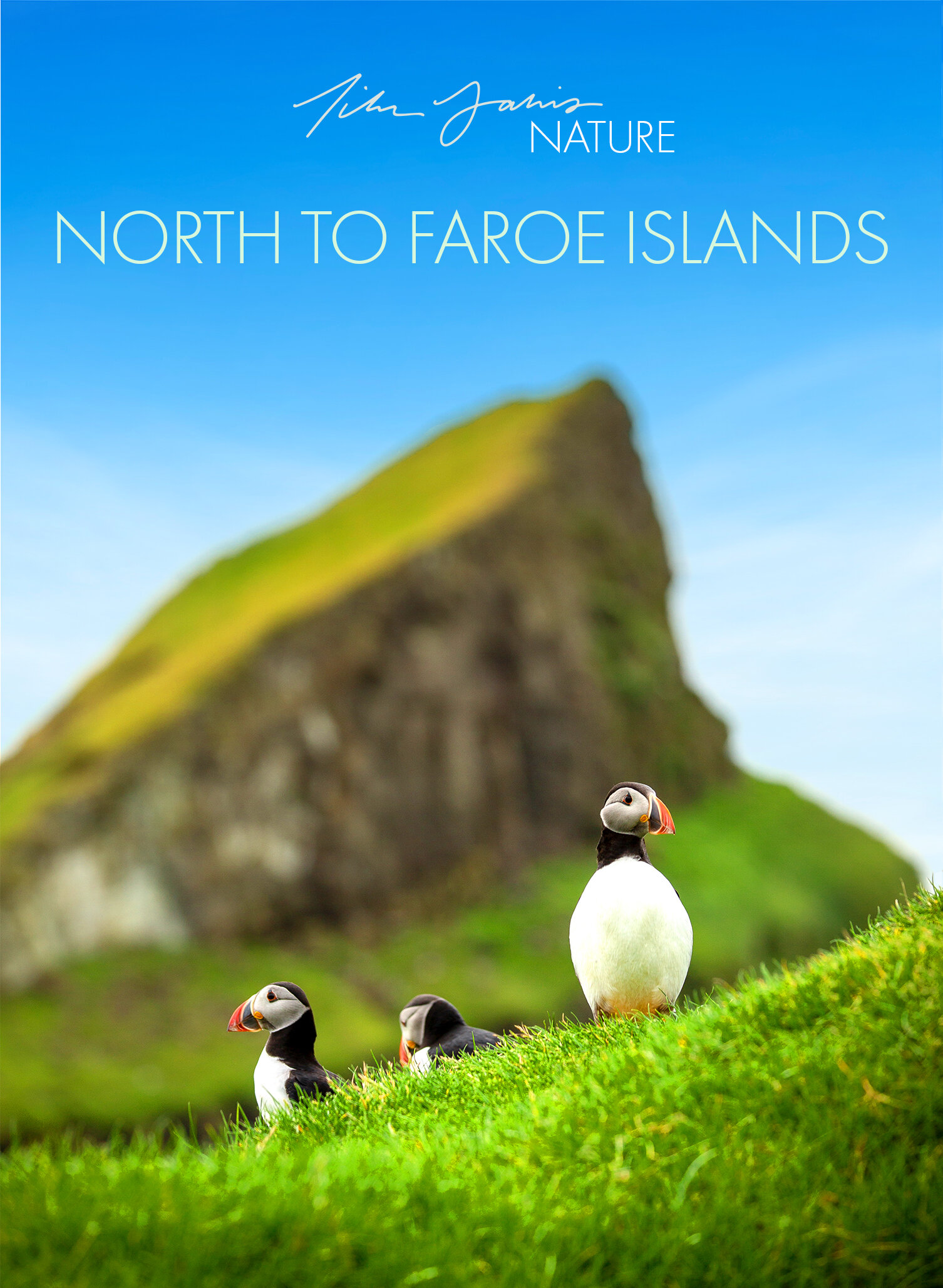 Elizabeth Demmer - North to Faroe Islands.jpg