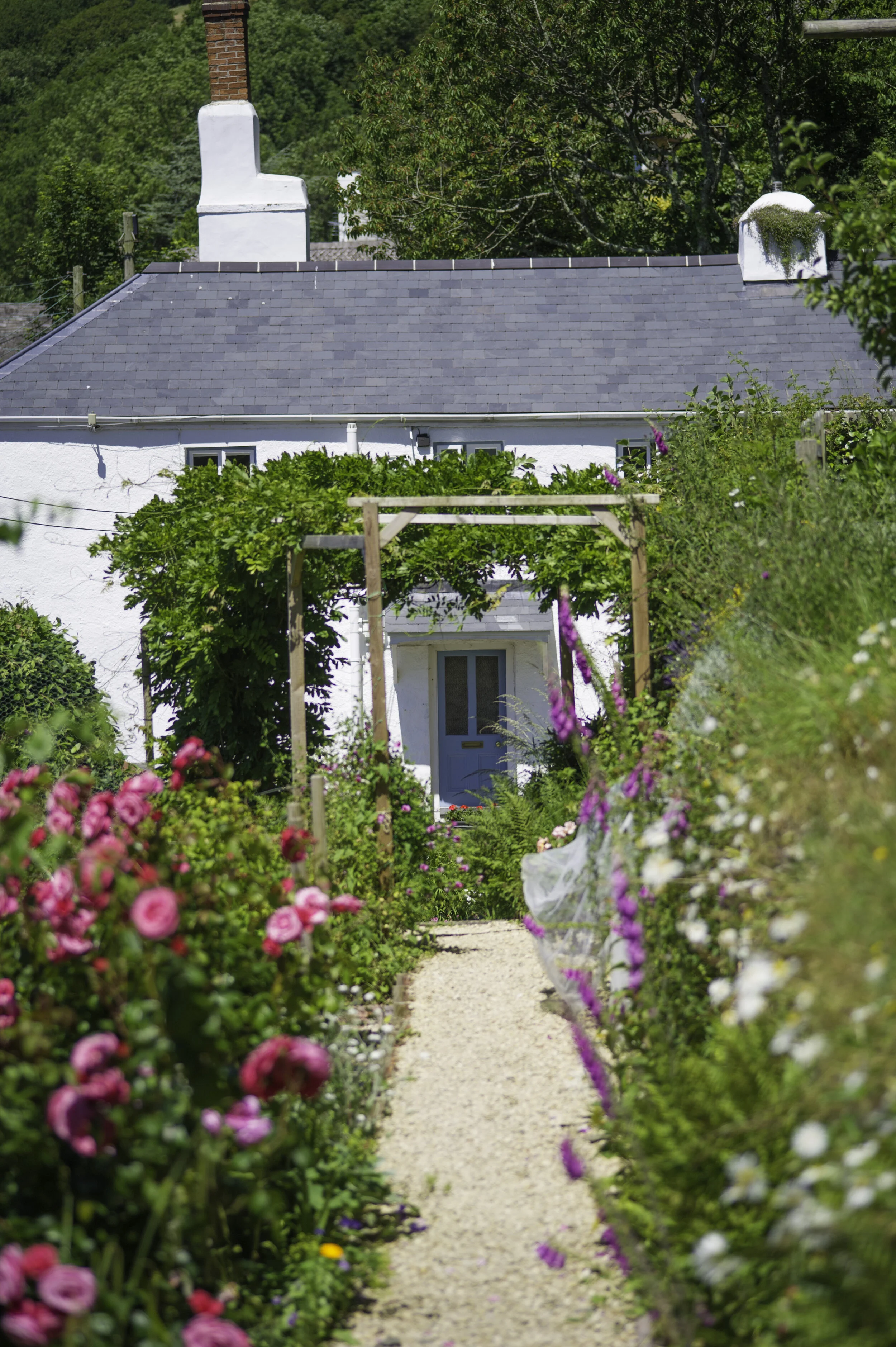 Cottage from the garden..jpg