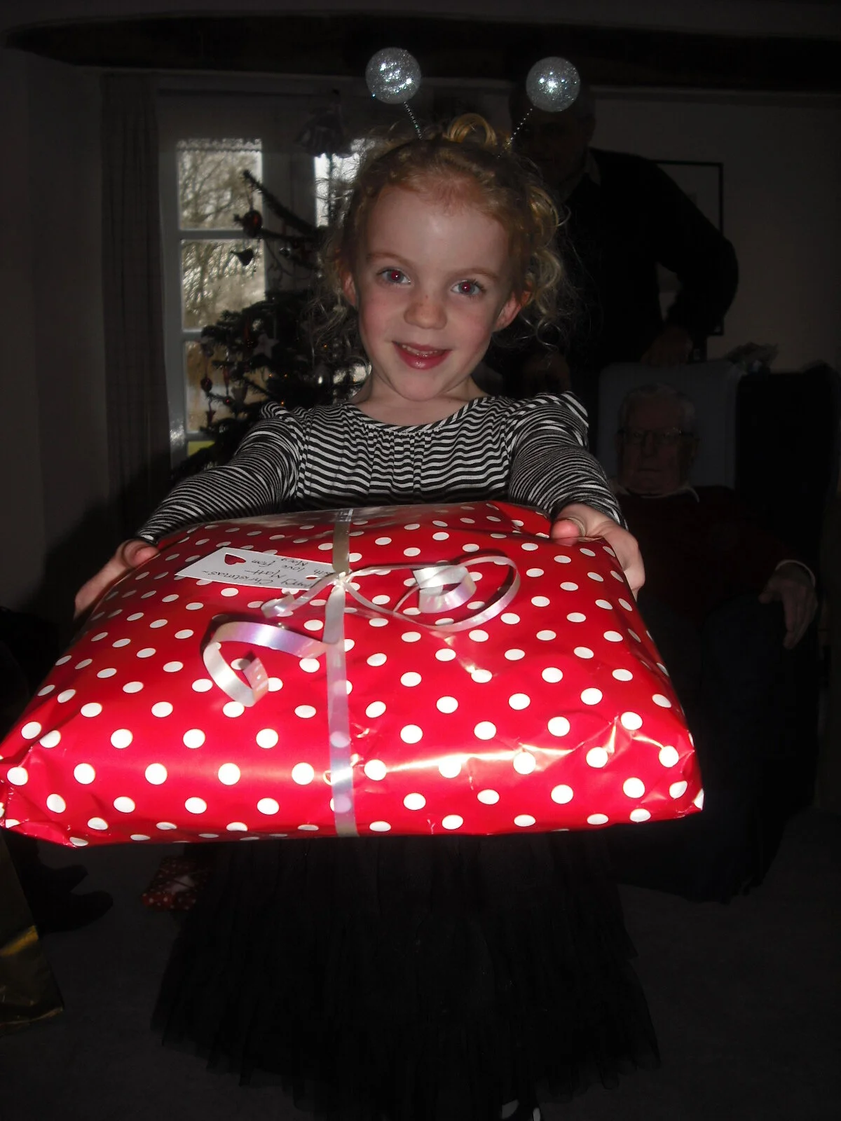 Merry Christmas and a                                   Happy New Year!