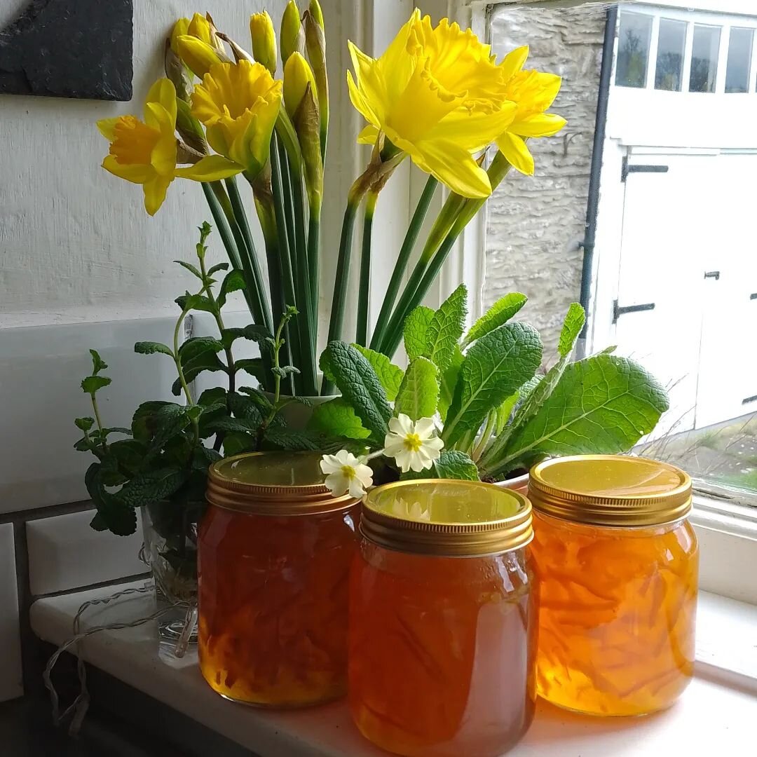 This year's marmalade is made, and the sun is shining! A lovely batch, brilliant colour,  the shred is evenly distributed and it's a lovely set, a good omen for somem good breakfasts here at Silver Cottage Bed and Breakfast. Why not check our availab