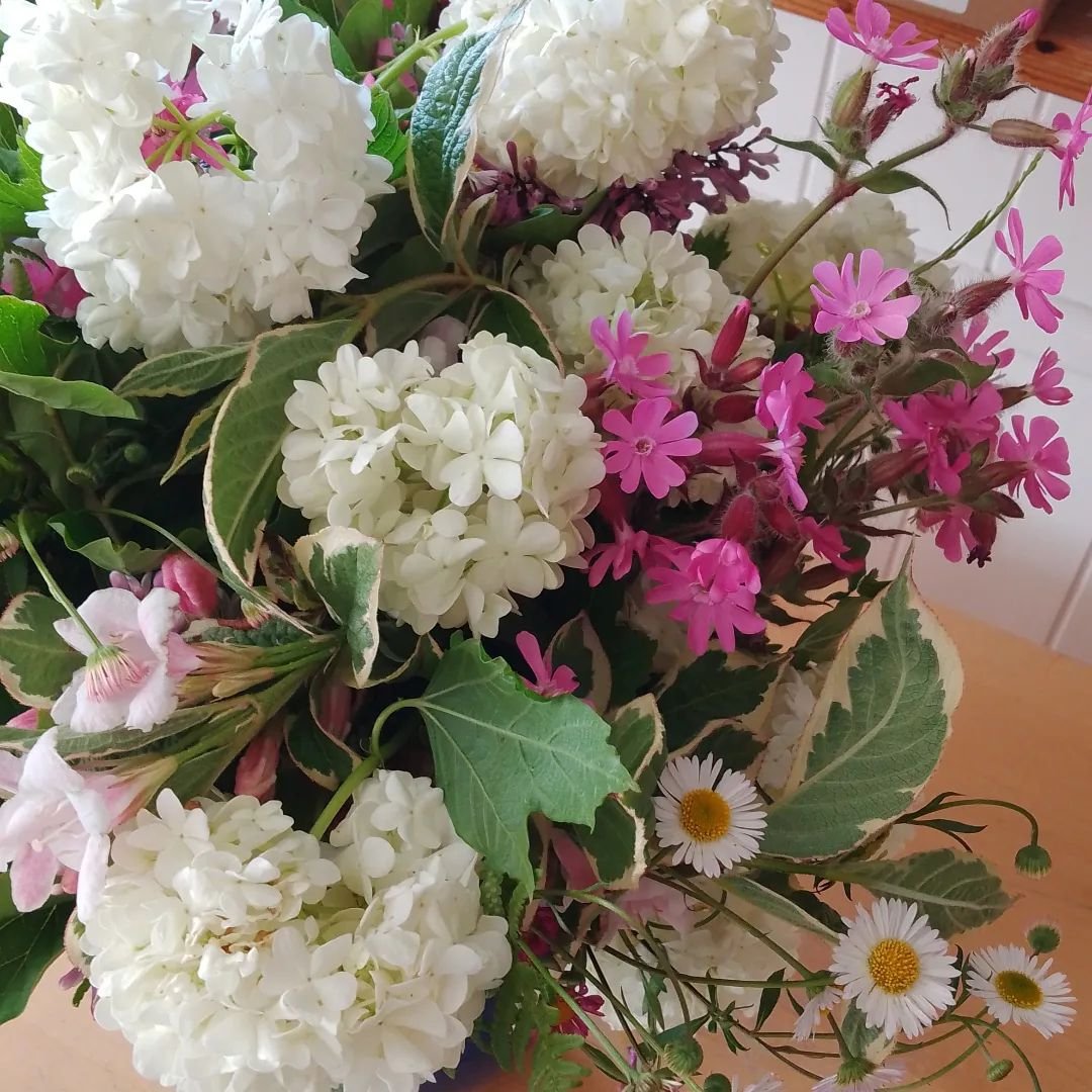 Late spring mix of flowers from the garden at Silver Cottage Bed and Breakfast for a friend - happy Friday everyone!#silvercottagebraunton #springindevon #cottagestyle