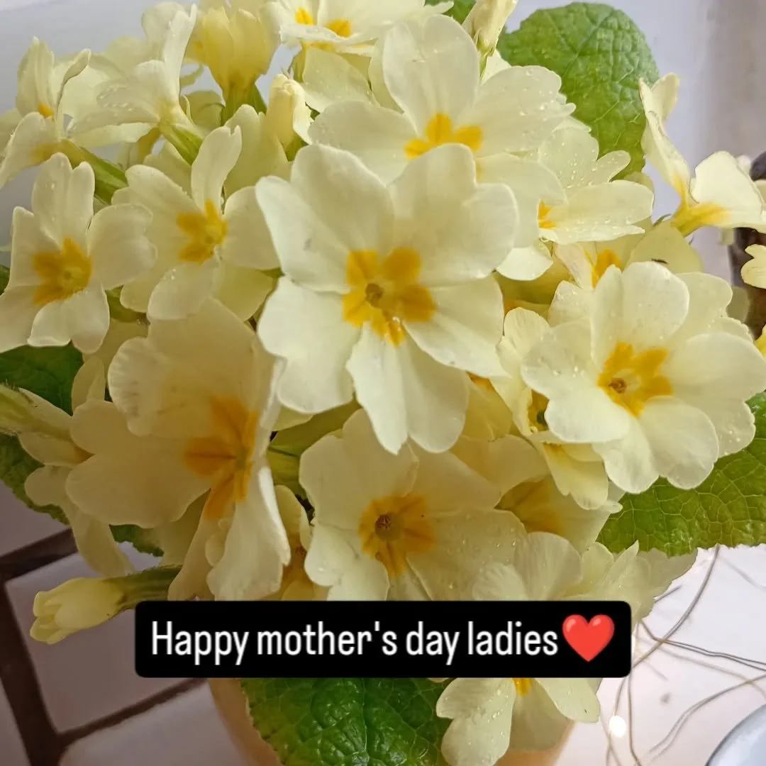 #bedandbreakfastbraunton #silvercottagebraunton #mothersday