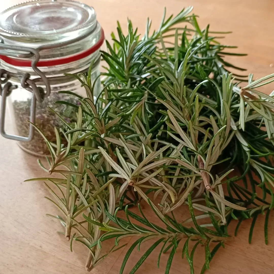 Picked a lot of rosemary whilst tidying the garden today; chopped and dried it becomes part of my dried herb mix together with oregano and thyme, delicious! #bedandbreakfastbraunton #silvercottagebraunton #homegrown #homemade