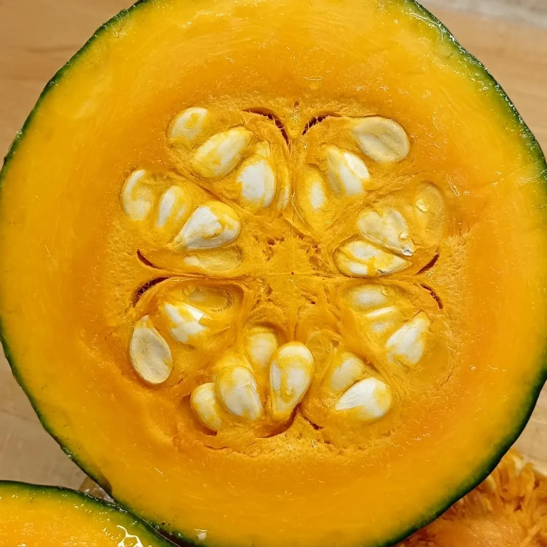 A Crown Prince pumpkin stored from our autumn harvest, and being processed for pumpkin and chilli soup today; a grizzly day made more cheerful by home grown and homemade food here at Silver Cottage Bed and Breakfast! #bedandbreakfastbraunton #cosyliv