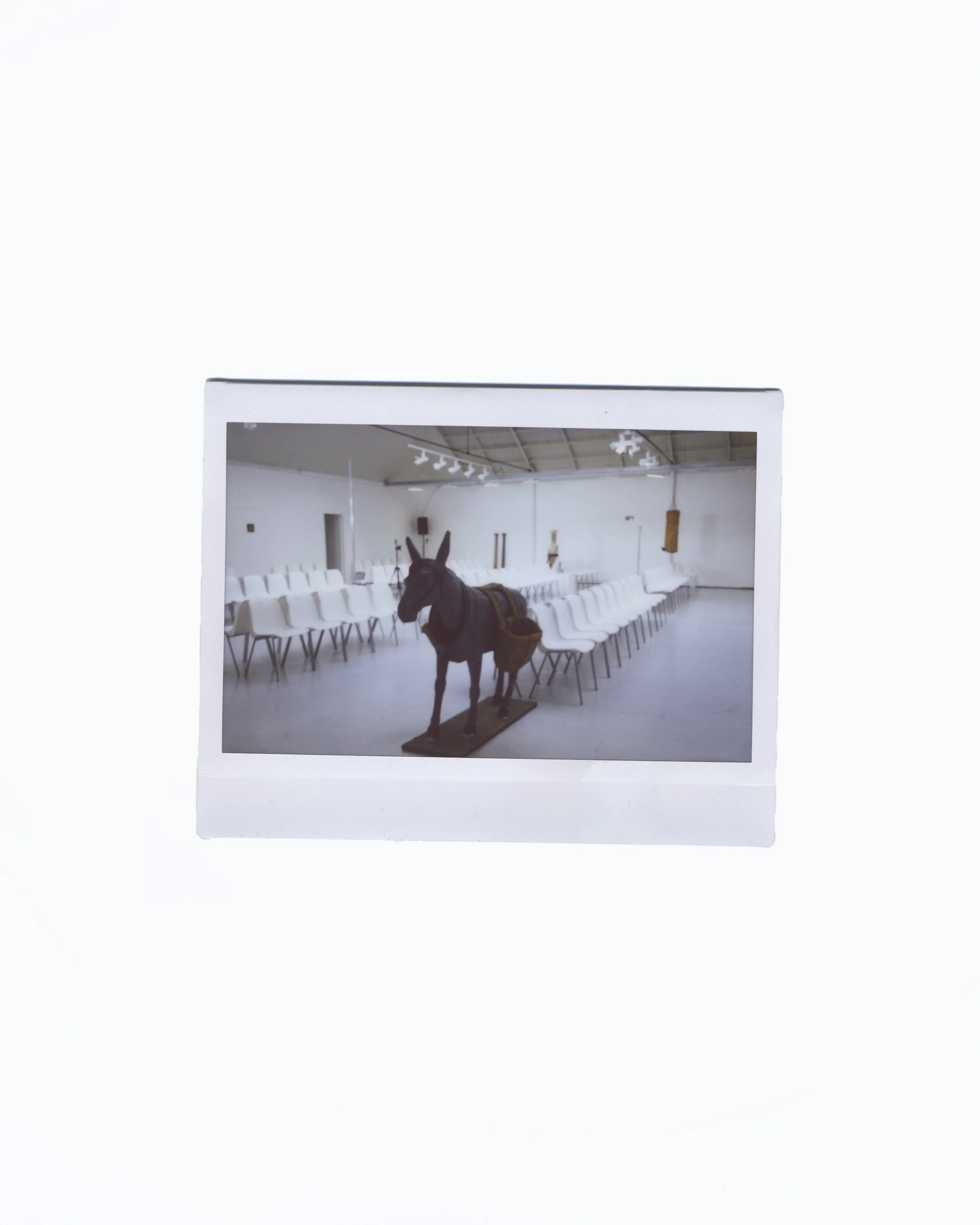 BURCAKYOL_FALL06_SEPT26_FANNYCORTADE_POLAROID_4.jpg