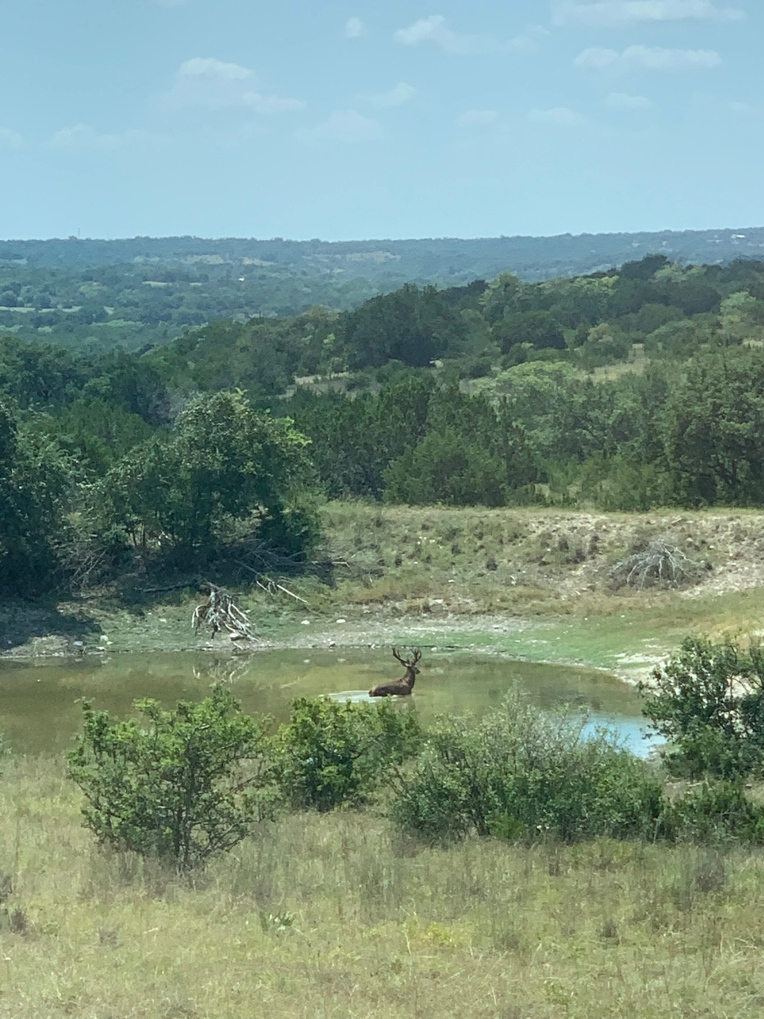 5-15 Acre Private Ranches