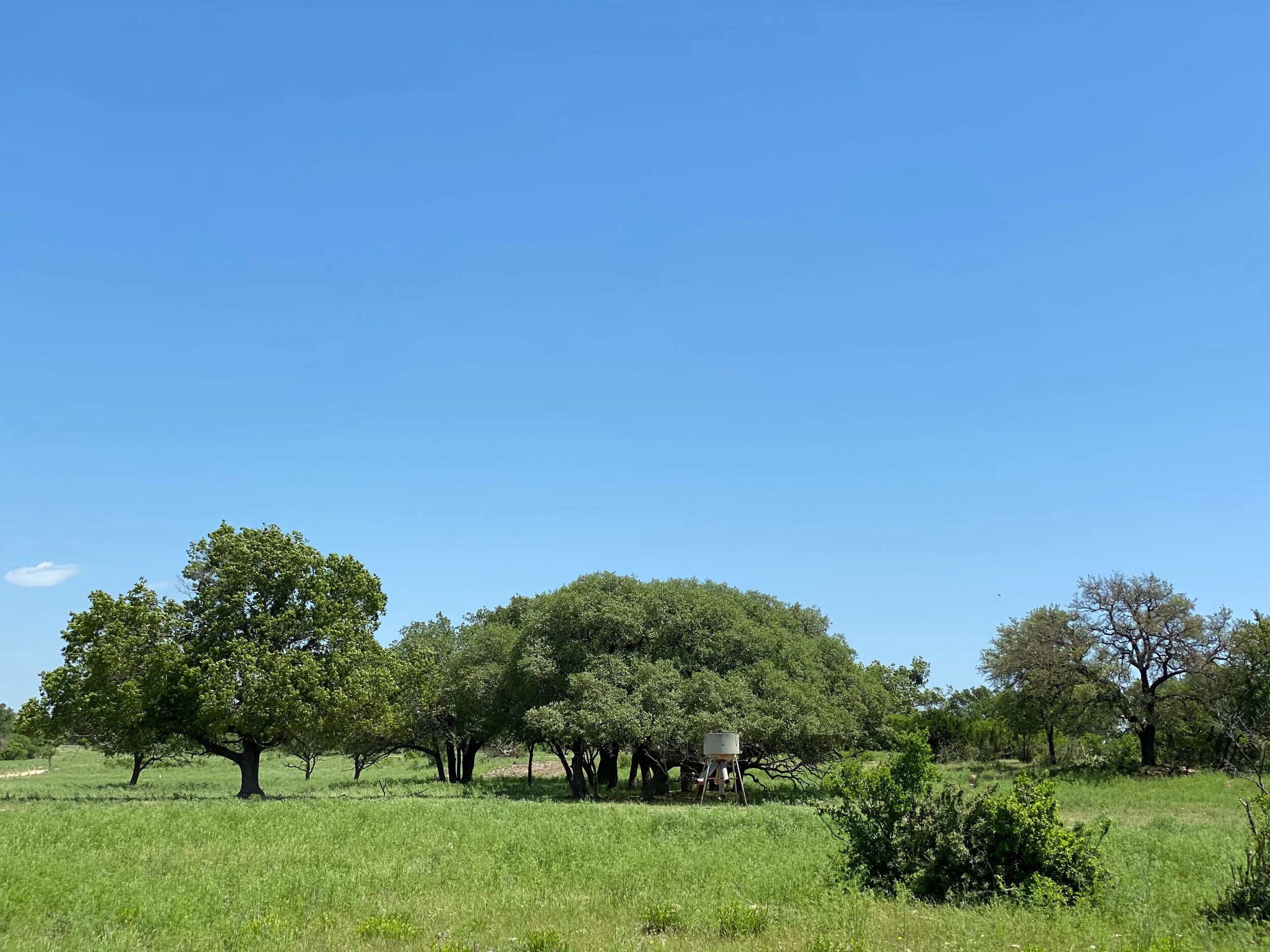 Retirement Account Investment Options