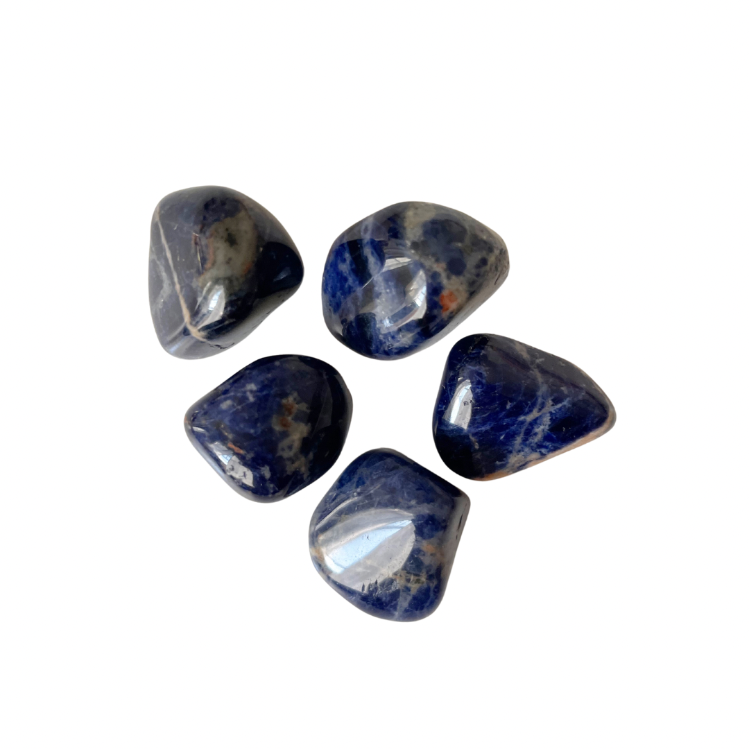 708E0834-F880-4855-9553-ED8086630654