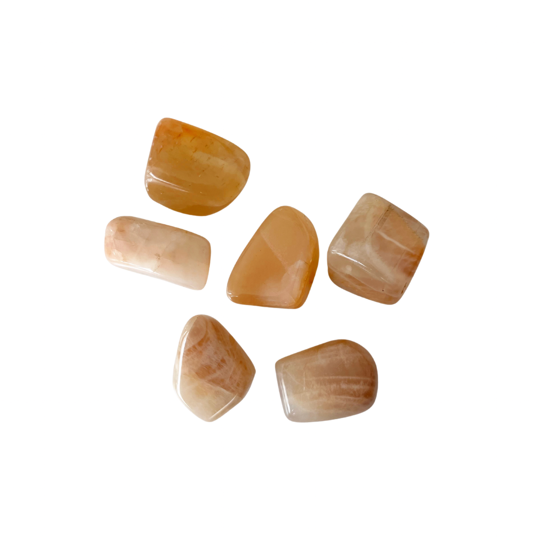 177EF8E3-FA15-4FF9-BB1A-C40EE163A4B8