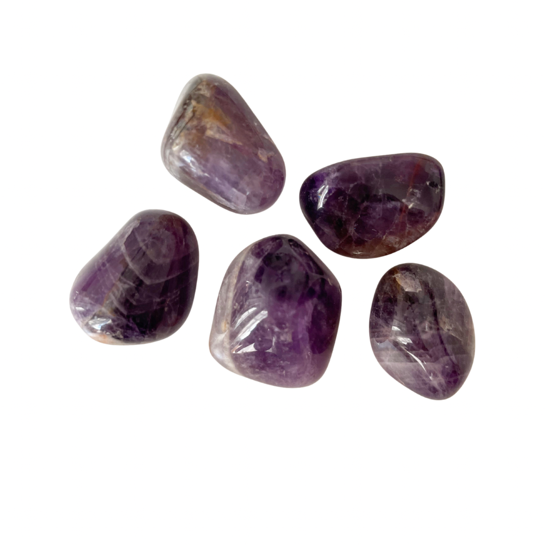 6866F993-1C69-40BC-9139-CCFD794316F5