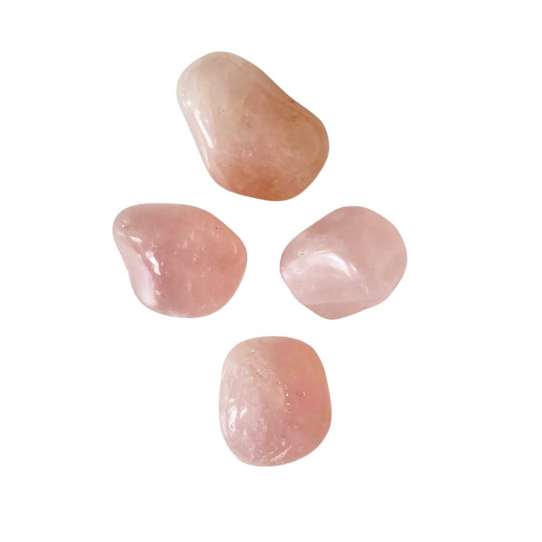 449A538D-BA7F-4B4C-A3D5-30AF74E69ADC